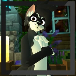 Raccoon Pupper Textures