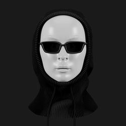 Balaclava Hood + Sunglasses | WOLVES STUDIO