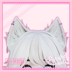 Purrfect Cat Set