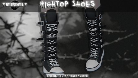 Hightop Shoes