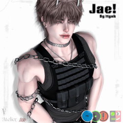 Jae! (PC) (VRCFT) (OPTI)