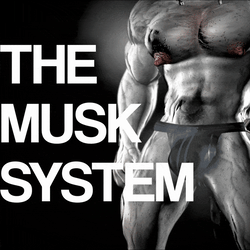 THE MUSK SYSTEM
