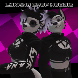 Lykana Crop Hoodie