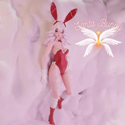 Santa Bunny Set