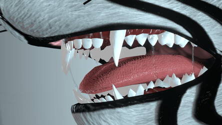 Maw Drool (Rexouium, Novabeast, Nardoragon, Chaos Canine, Nightbeast, Fara Rex)