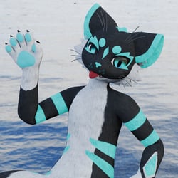 Mayu Texture