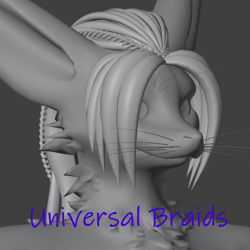 Universal Braids