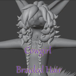 Universal Cowgirl Braids