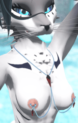 Nipple Chains for Magpie
