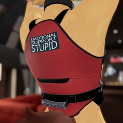 Emotional Support Vest