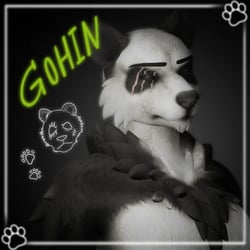 ☾ GOHIN THE PANDA | BJORN RETEXTURE
