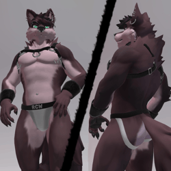 Climbing Gear for Reval City Wolf