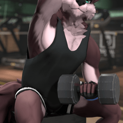 Gym Outift [ City Wolf and Vulper ]