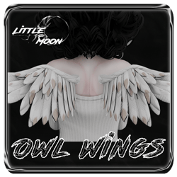Owl Wings