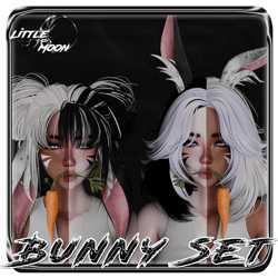 Bunny Set
