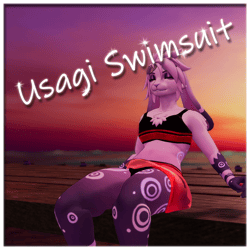 Usagi Bunny Swimsuit
