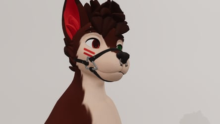 Winterpaw Muzzle 