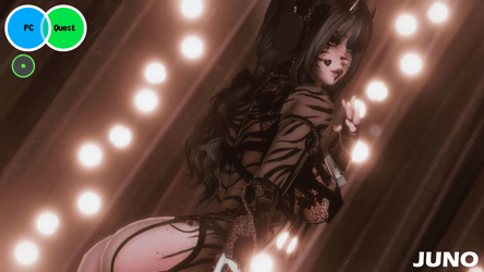 JUNO (PC/QUEST/OPTIS)