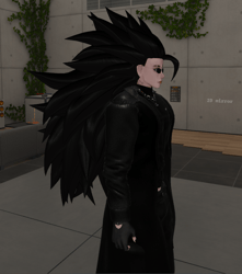 SS3 Hair( For Akii Head)
