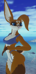 LappiBun