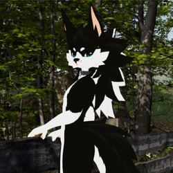 Novabeast border collie textures