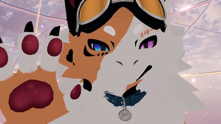 Calico Cat Novabeast