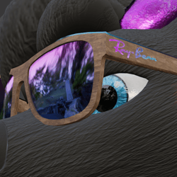 RayBeans - Sunglasses