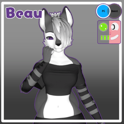 Beau [VRCFT]