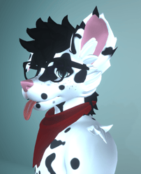Dalmatian WinterPaw Texture