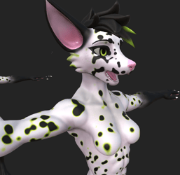 Dalmatian Viwi Texture