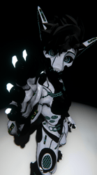 Robotic Viwi