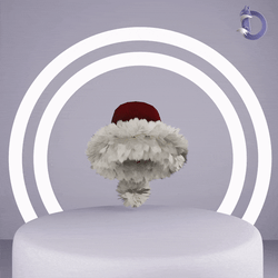 Dinzee's Christmas Hat
