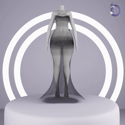  Dinzee's Transparent Dress 