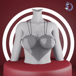Dinzee's Heart Top