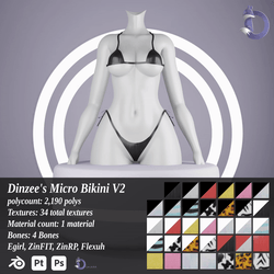 Dinzee's Micro Bikini