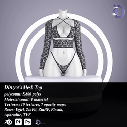 Dinzee's Mesh Top