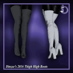 Dinzee's 2016 Thigh High Boots