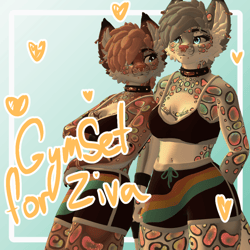 GymSet for Ziva