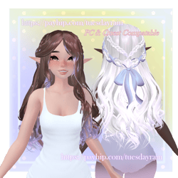 Braided Elf / Long Wavy Hair