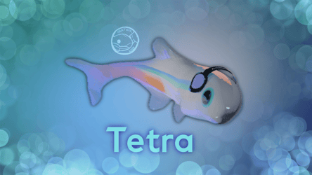 Aquatic Collection - Tetra