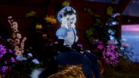 Dixy (PC, QUEST, Sps, Gogo)