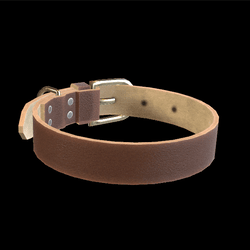 Rustic Collar