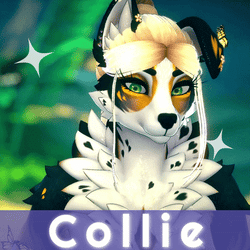 Collie - Roxy Retexture