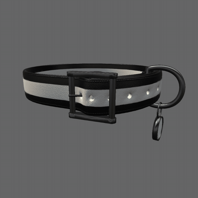 Customizable Collar