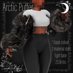 Arctic Puffer