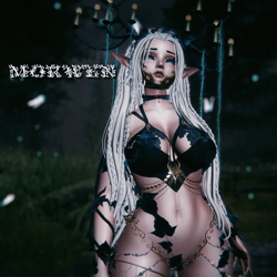 Morwen of the Fae Wilds