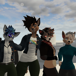 Casual Viwi Clothing Pack