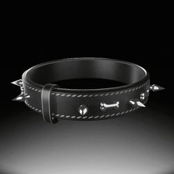 Spiked Leather Collar