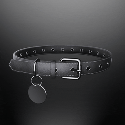 Classic Pet Collar
