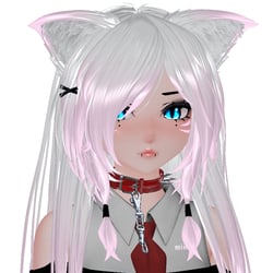Rin 2025